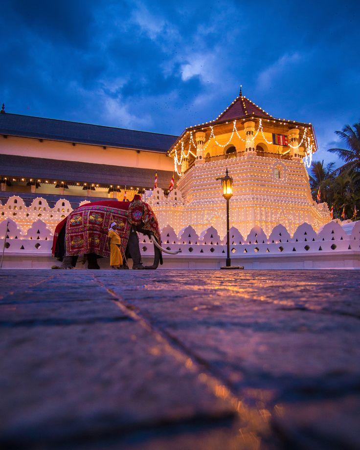 Kandy & Hill Country